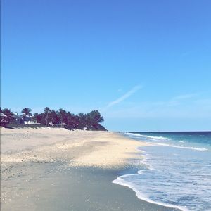 Meet your Posher, Ashton